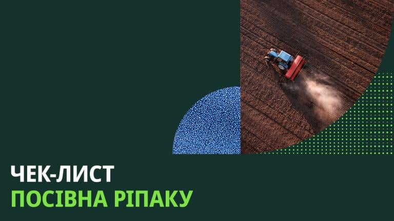 Посівна ріпаку