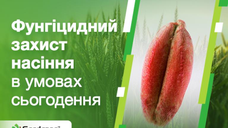 Фунгіцидний захист насіння