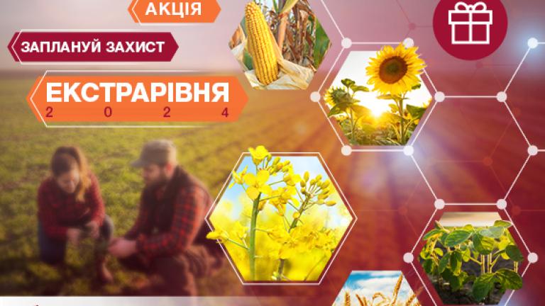 Акція Амістар Екстра
