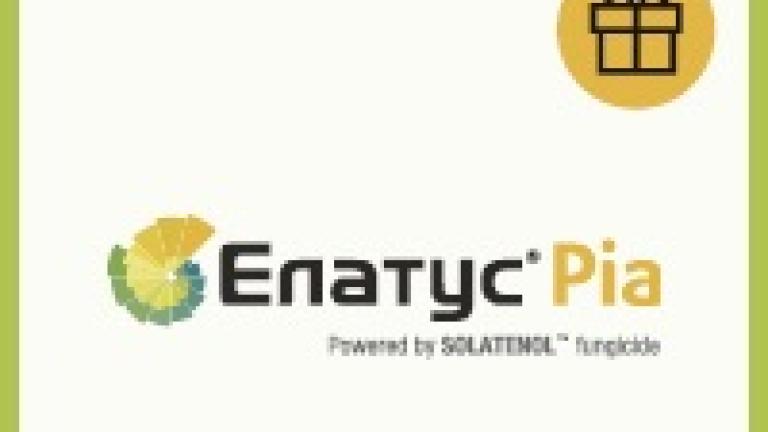 Елатус Ріа акція