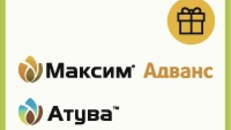 протруйники сингента