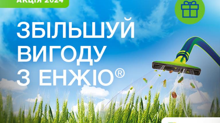 Акція Енжіо