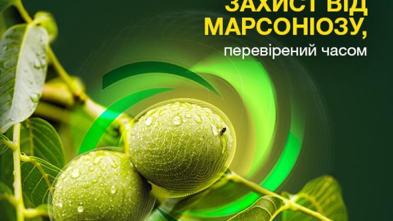 Скор від марсоніозу