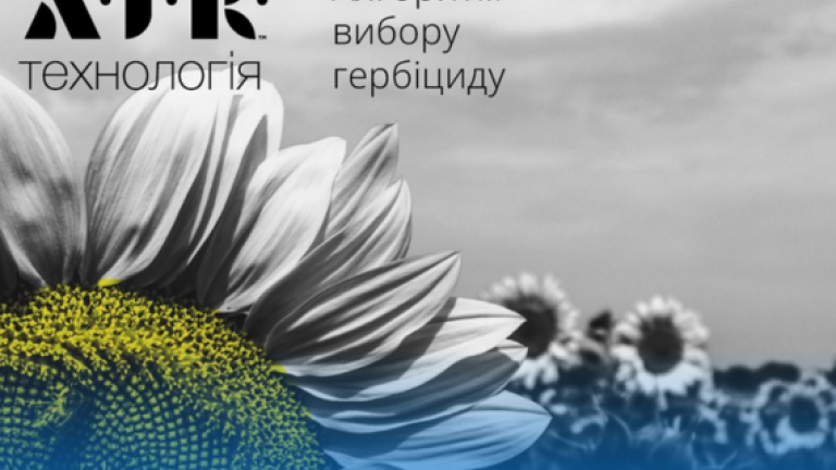 Технологія AIR
