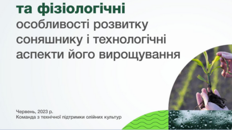 Особливості розвитку соняшника