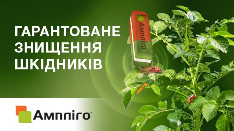 Ампліго Інсектицид