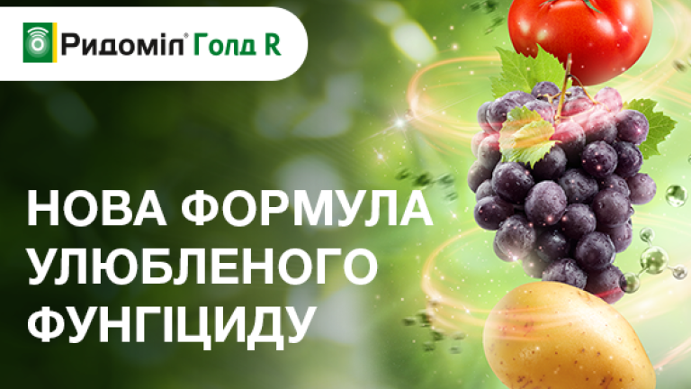 Ридоміл Голд