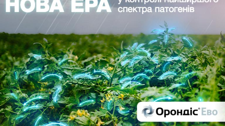 Орондіс Ево