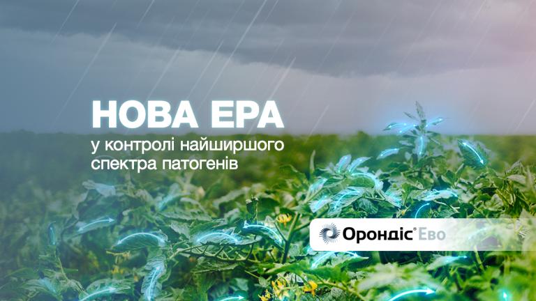 Орондіс Ево