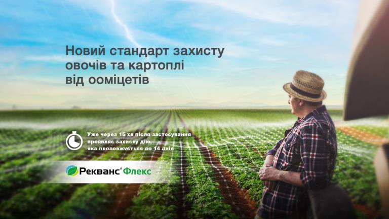 Рекванс Флекс