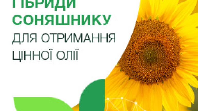 Гібриди соняшнику