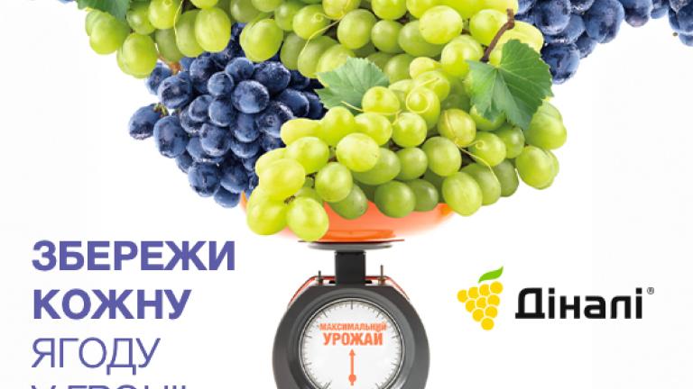Діналі