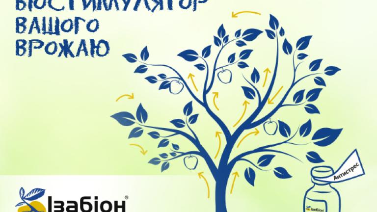 Ізабіон