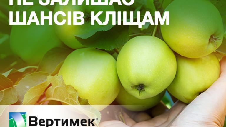 Вертимек
