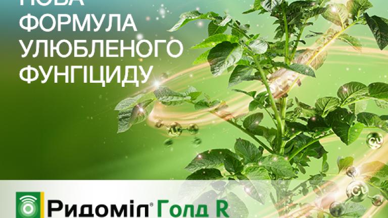 Ридоміл Голд R