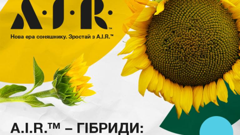Нова ера в генетиці соняшнику