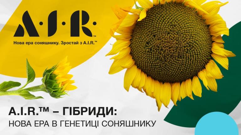Нова ера в генетиці соняшнику