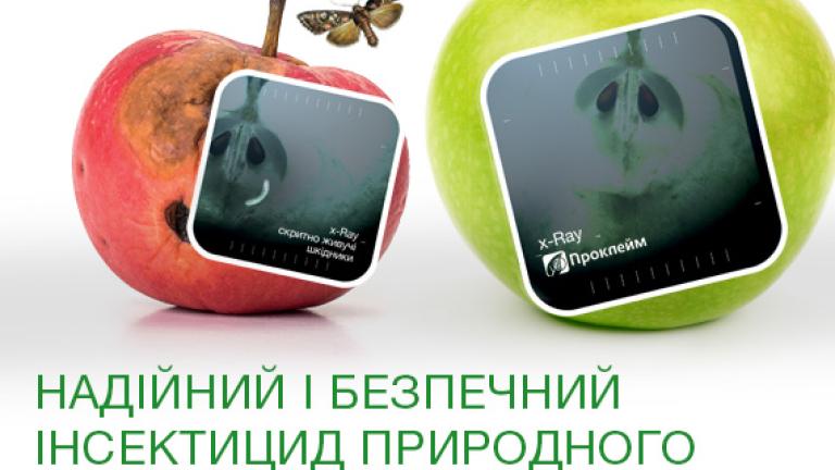 Проклейм
