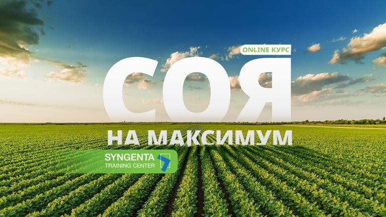 Соя на Максимум