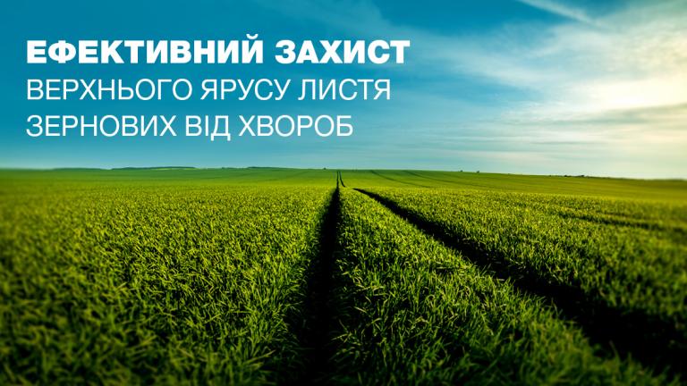 Ефективний захист зернових
