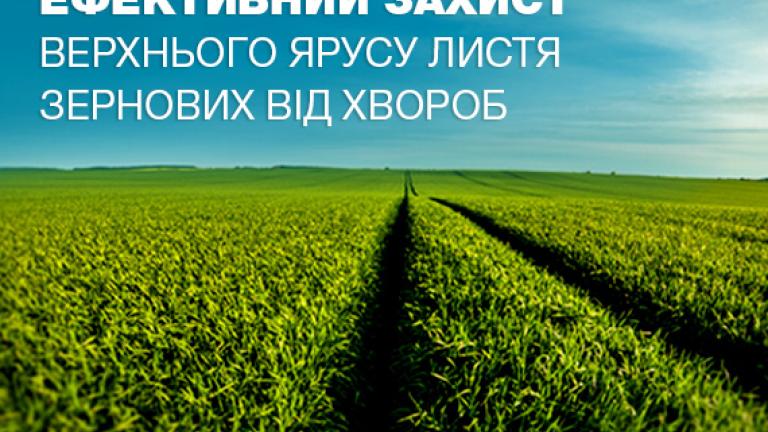 Ефективний захист зернових