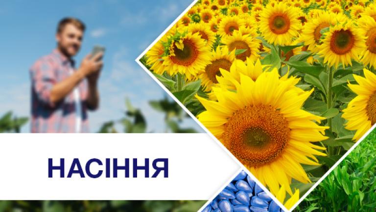 Контакти менеджерів з продажу насіння