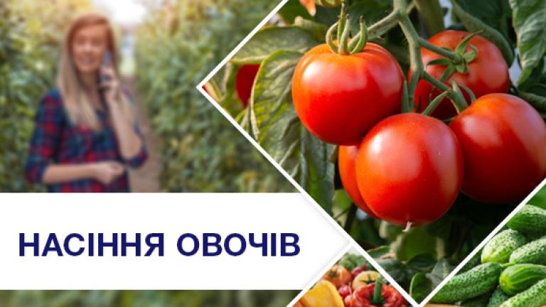 Контакти менеджерів з продажу насіння овочевих культур