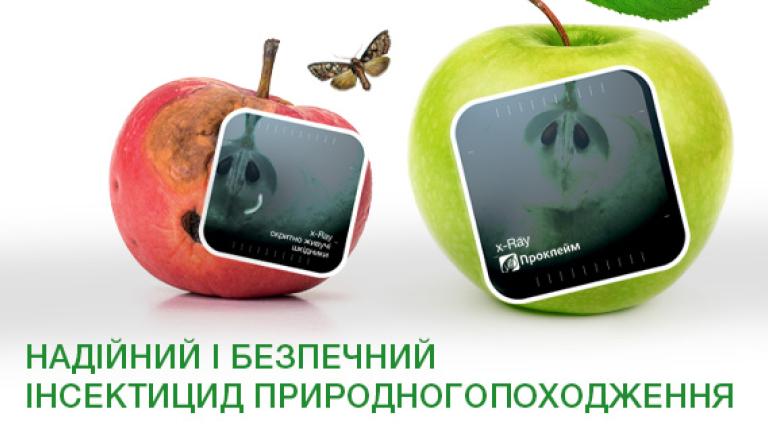 Проклейм
