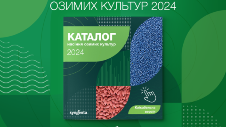Каталог насіння озимих культур 2024