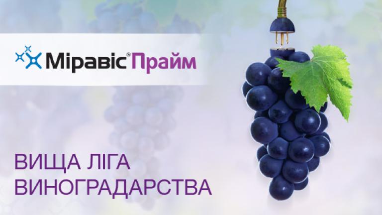Міравіс Прайм