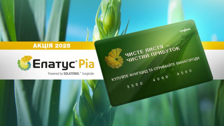 Акція Елатус Ріа 2025