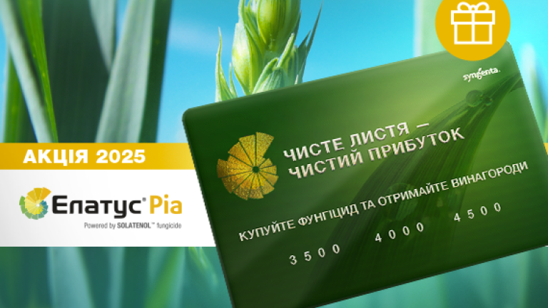 Акція Елатус Ріа 2025