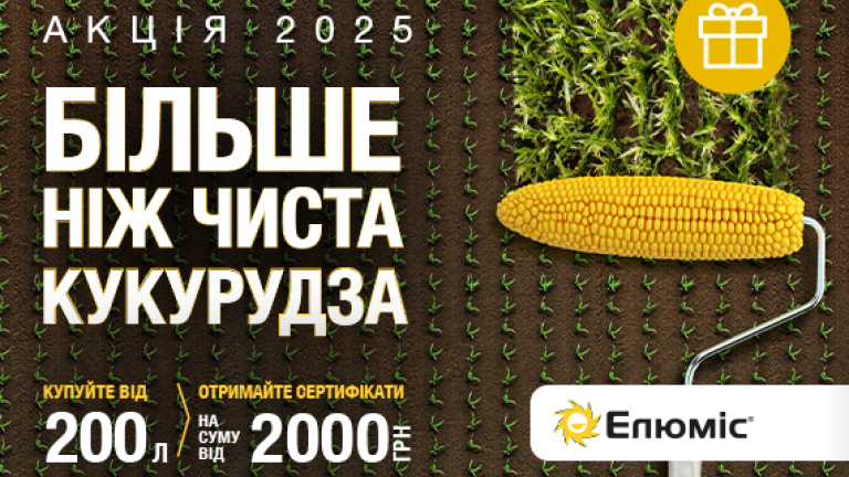Елюміс