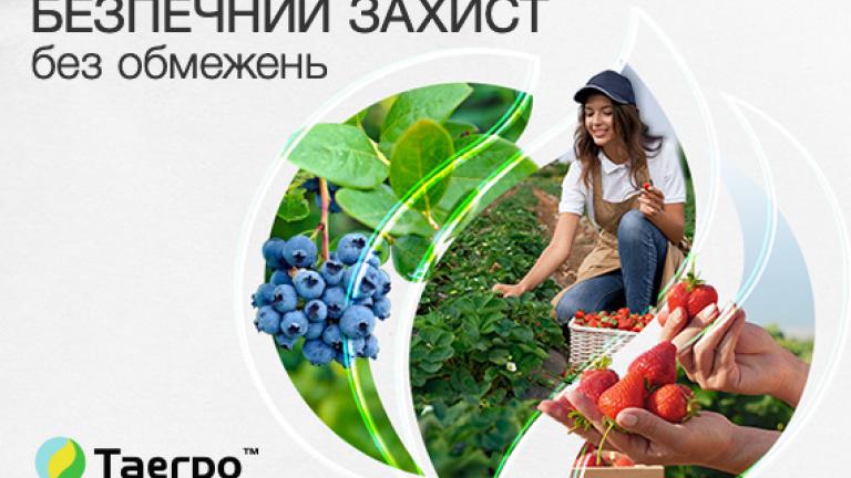 Таегро™
