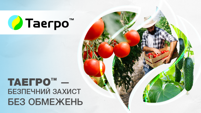 Таегро™