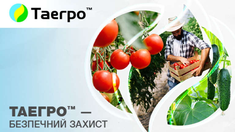 Таегро™