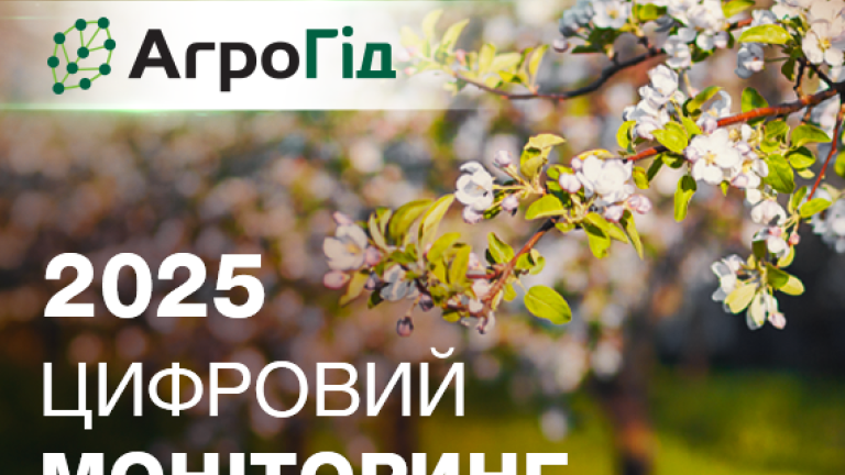 Цифровий моніторинг 2025