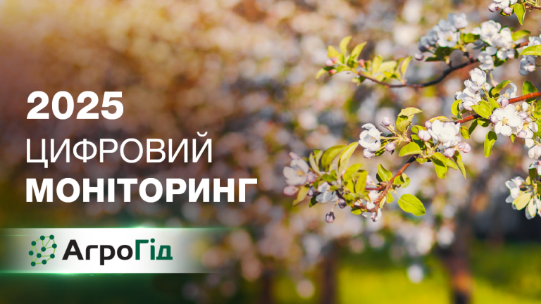 Цифровий моніторинг 2025