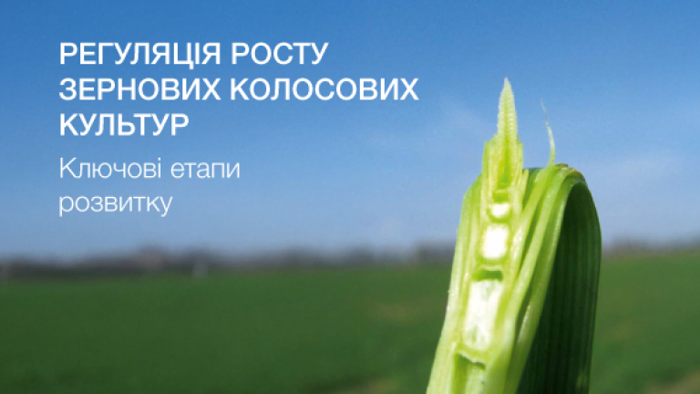 Моддус Старт