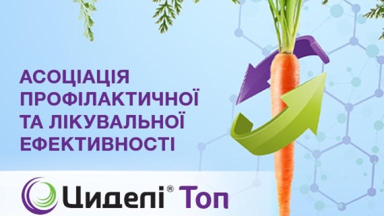 Циделі Топ