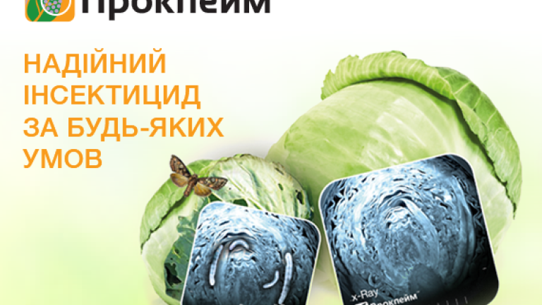 Проклейм
