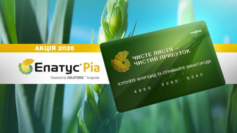 Акція Елатус Ріа 2026