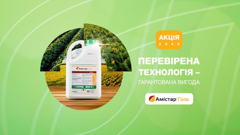 Акція Амістар Голд 2026