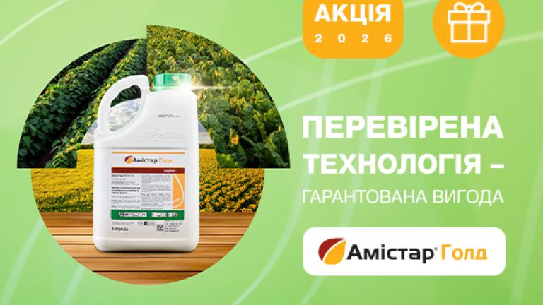 Акція Амістар Голд 2026