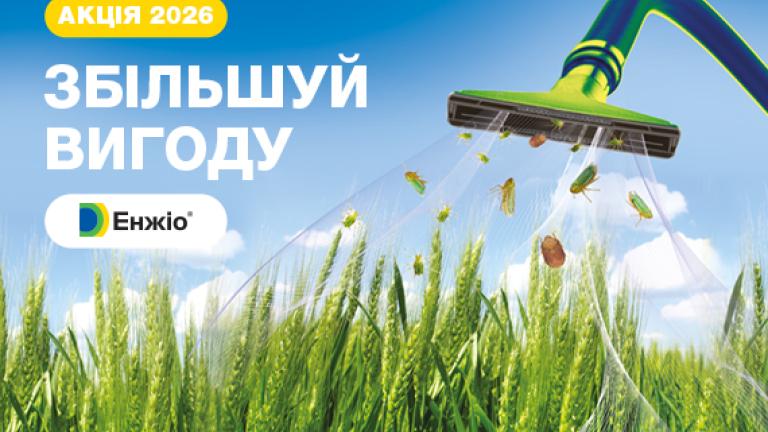 Акція Енжіо