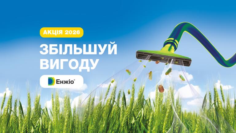 Акція Енжіо