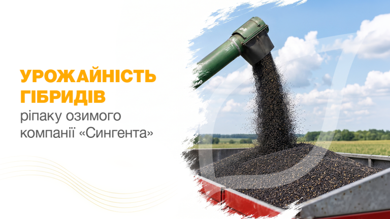 Урожайність гібридів ріпаку озимого компанії «Сингента»