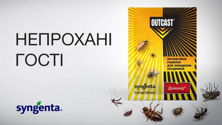 Непрохані гості: як захистити дім від комах-шкідників