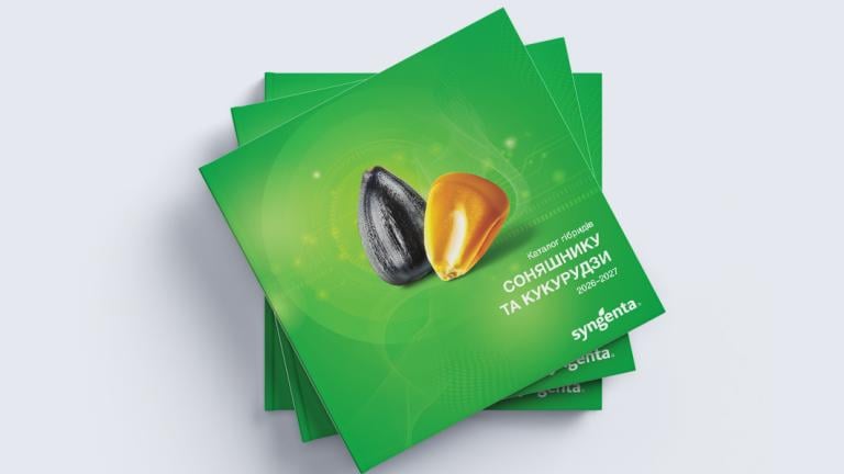 Каталог соняшнику та кукурудзи