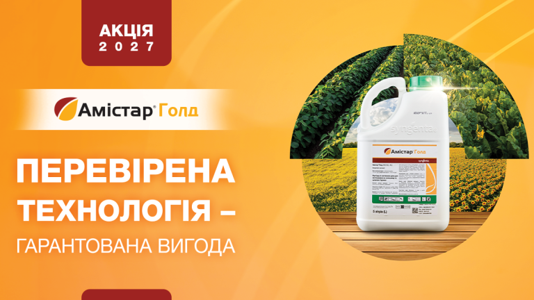 Акція амістар голд 2027